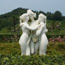 외도조경식물원 이미지