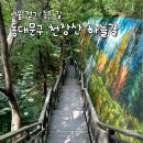 4월24일(금)오후12시홍릉수목원~천장산하늘숲길산책데이트+뒤풀이 이미지