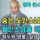 월인스님이라고 말씀 들어보셨습니까(보기편한 자막본) 이미지