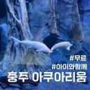 작은동물원 | 아이와 여행 아쿠아리움 입장료 주차장정보 작은 동물원 놀거리 솔직후기 라바랜드 폐장 후 충주테마파크로