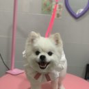 예쁜여우미용실 이미지