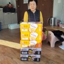 영일상사 이미지