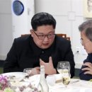 양들의평화