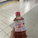 세븐일레븐영주카페점자판기 | [후쿠오카] 두번째 후쿠오카여행 🩵✈️