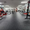 다윗헬스클럽 이미지