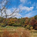 세봉농장 이미지