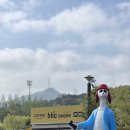 나이트스톰미디어(주) | 어린이날 여행 아이랑 서울대공원 과천 원더파크