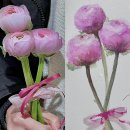 선유공방 | [취미미술] 선학동 미술공방 #선유화실 원데이클래스 후기 | 수채화로 꽃그리기