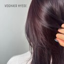 보그헤어원주점 이미지