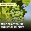 포도밭민박 | 세계테마기행 프랑스편💌 리옹 근교 와인 산지, 보졸레 여행 &amp; 촬영 후기