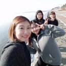 아르떼리조트 이미지