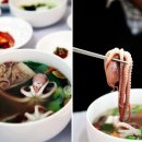 온천낙지 티스토리