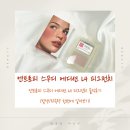 엔트로피 스무디 에디션 L4 피그펀치 솔직후기 (발색/지속력 한번에)