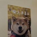 오롯이큐산 이미지