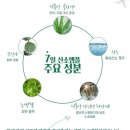 유니베르소 산소앰플 & 로즈힙오일 7일 후기