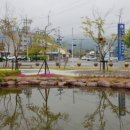삼조원바다횟집 네이버블로그