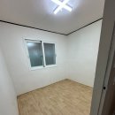 더 리베라 | 당산동 입주청소 투룸 현장, 도배풀·기름때·곰팡이까지 꼼꼼하게 정리한 후기