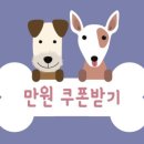 우주펫 이미지