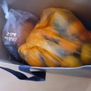 한눈으로 읽는 서양미술사 이미지