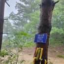 낙동정맥(洛東正脈) 7구간(덕재~아랫삼승령)