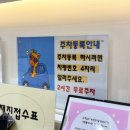 뮤즈힐비타민