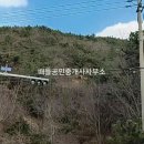 우두리