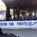 청춘난타 이미지