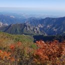 가을이 오면 눈부신 수채화 | 가을이 깔아놓은 눈부신 단풍길…걷기 좋은 숲 7곳