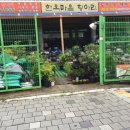 문학동항아리화분