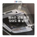 신우냉열 이미지
