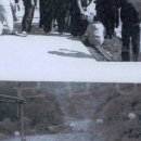 낭만포레 네이버블로그