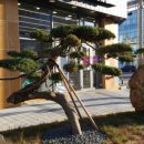 태안터미널 이미지