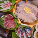 강서구청 회뜨는중 화곡역 술집 맛있는 안주와 대하소금구이까지 서울 야장 핫플