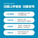 대동방역 이미지