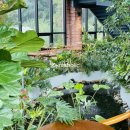 그린보드 이미지