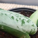 범수농장2 이미지