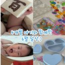 무지개식육점 - 부여군 | 6월 일상:) 4개월 아기의 귀여움 / 행운의 거북이 포코포코 케이스 충주 아쿠아리움 방문 /빅뱅 콘서트...