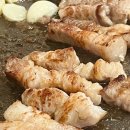 산본꽃돼지 이미지