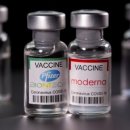 코로나 백신 가격 인상 모더나·화이자, 내년 매출 100조원 예상 이미지
