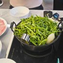 내가 우리집 가드너 이미지