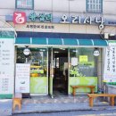 오리사냥 2 이미지