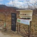 하회보건진료소 이미지