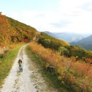 하이원 컨트리클럽 이미지