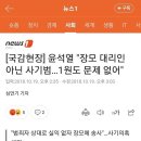김병민 "윤석열, 장모 10원 한 장 발언 말한 적 없어" 가짜뉴스 이미지