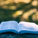 [자격증 취득과정] 방과후지도사(5) 이미지