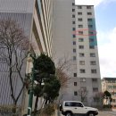 코뿔소내과의원 이미지