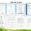 크린워터 네이버블로그