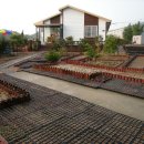 청석농장 이미지