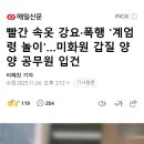 빨간 속옷 강요·폭행 &#39;계엄령 놀이&#39;…미화원 갑질 양양 공무원 입건 이미지