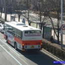 최근의 부산시내버스 소식들 이미지
